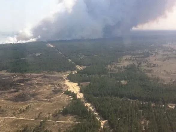 Масштабну лісову пожежу на Херсонщині локалізували