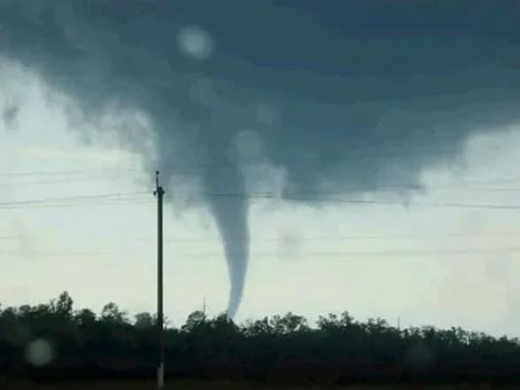 У США торнадо змусило літати корів