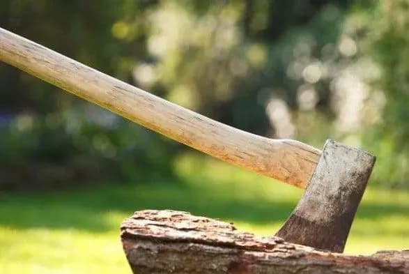 Небезпечні ігри: на Полтавщині дворічній дівчинці на руку впала сокира