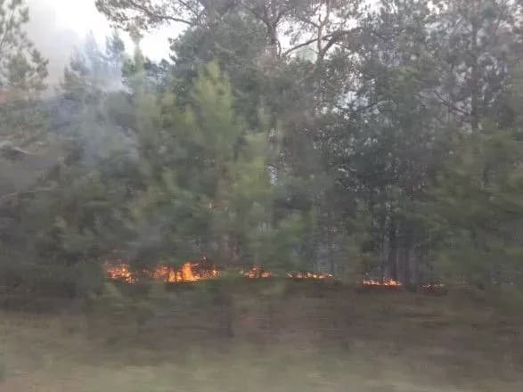 У Чорнобилі горить ділянка "Рудого лісу"