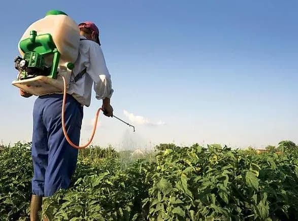 В Україні немає жодного підприємства з переробки агрохімікатів - Семерак