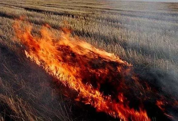 Площа пожежі в зоні ЧАЕС скоротилася до 2 га