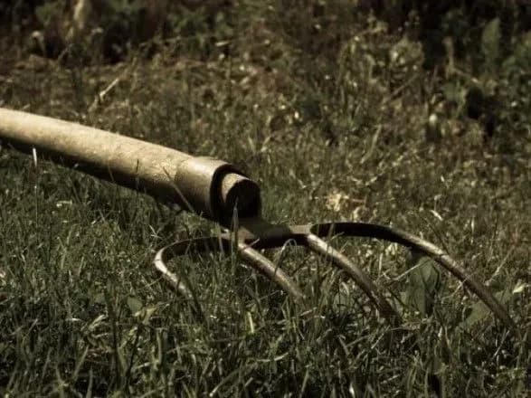 На Донеччині чоловік вдарив 14-річну дівчинку вилами по голові