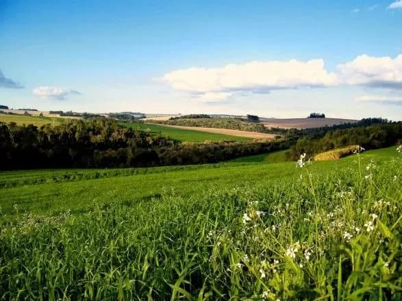 Права оренди на землі продаватимуть на ProZorro.Продажі