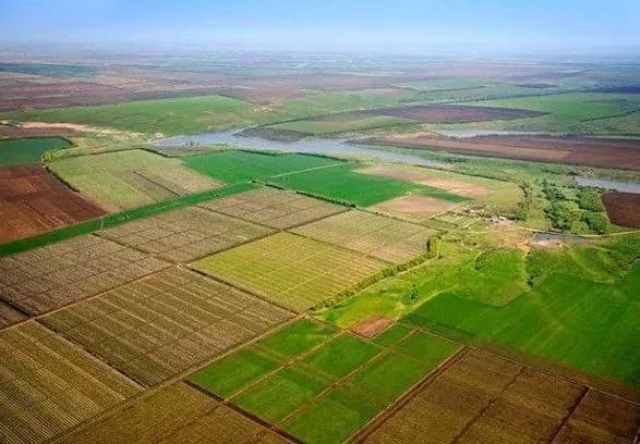 В МЭРТ предложили создать публичную кадастровую карту земель и полигонов