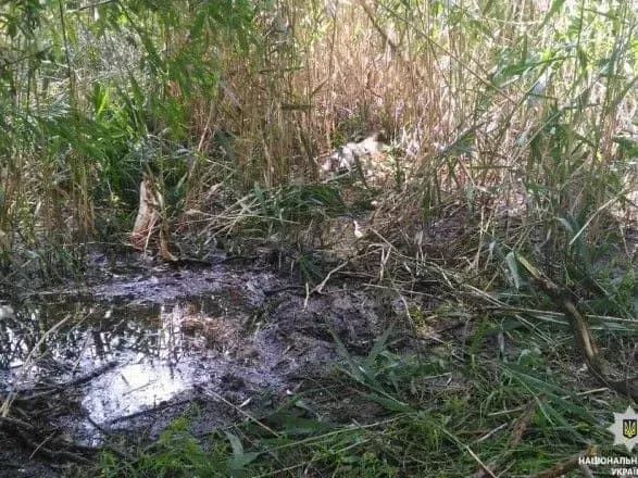 У Нікополі знайшли тіло 13-річної дівчинки з ножовими пораненнями