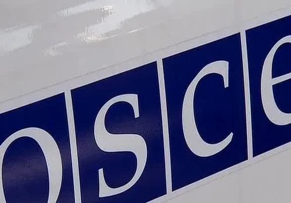 ОБСЄ: цього року 15 осіб підірвалось на мінах