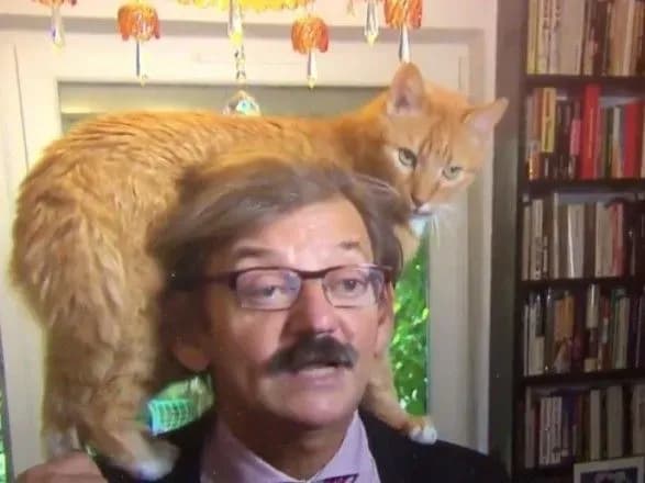 Рудий кіт заліз на плечі польського історика під час інтерв'ю