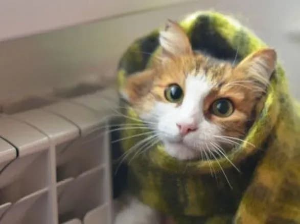 На подготовку к зиме на местах тратится слишком мало средств - Зубко