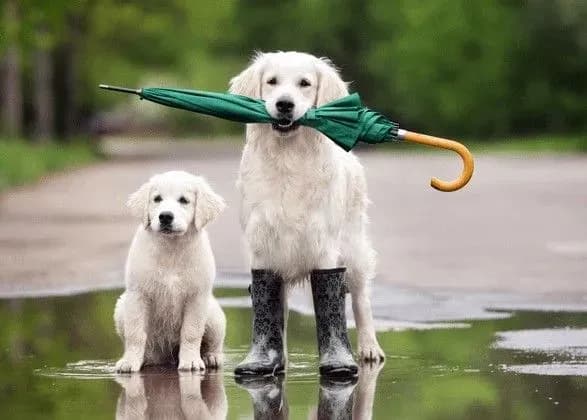 На выходных в Украине снизится температура воздуха