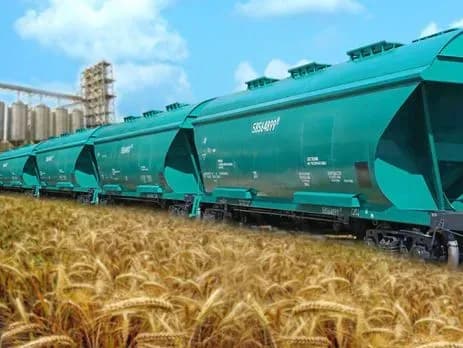 Острікова розповіла, як у законопроекті про єдине вікно з'явилася дискримінаційна "правка Хомутинніка"