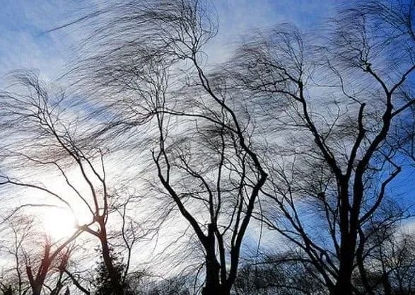 До кінця доби у Києві пориви вітру 15-18 м/с