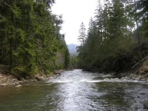 Спасатели предупредили о повышении уровня воды в Сане и Днестре