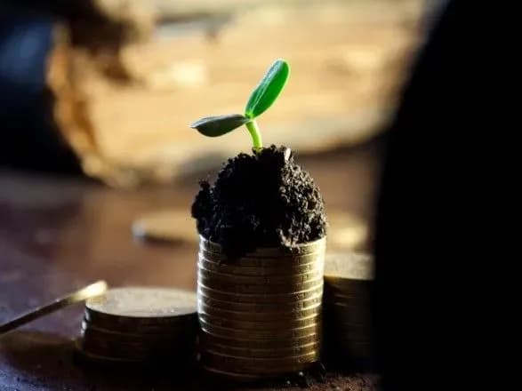 У І півріччі до України надійшло 1,2 млрд доларів іноземних інвестицій