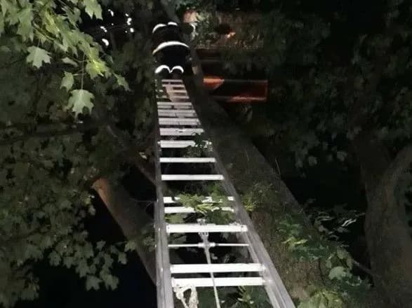 В Кировоградской области воздушный шар с людьми застрял на высоте