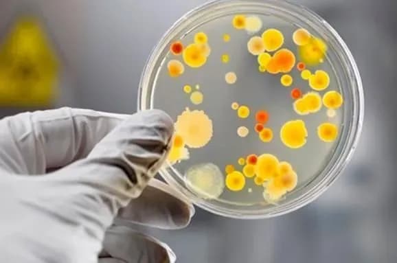 З підозрою на сальмонельоз на Чернігівщині госпіталізували вісьмох людей