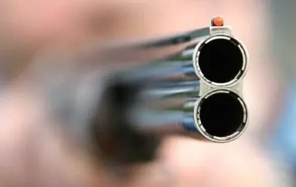 Чоловік на Сумщині застрелив сусідських собак і викинув тіла у колодязь