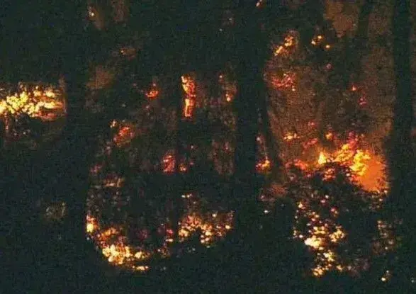 Викрадений літак розбився у США