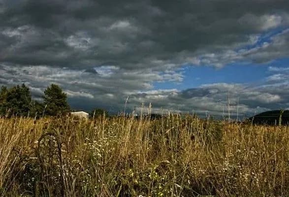 Сьогодні на заході і півночі України очікуються дощі