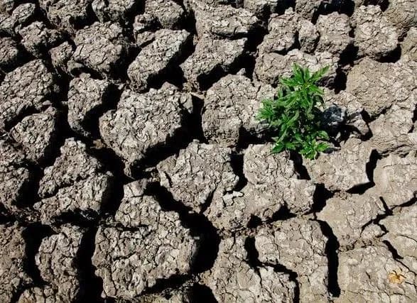 В Скандинавии бьют тривогу из-за аномальной засухи