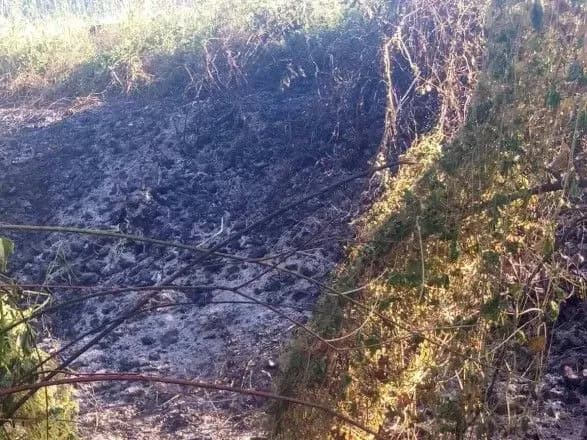 На Закарпатті бабуся впала у багаття під час спалювання трави