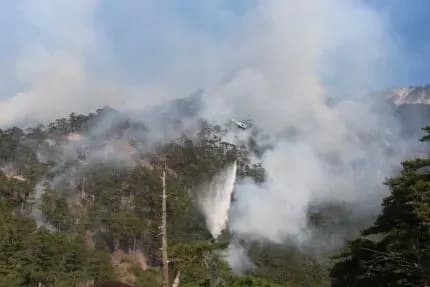 В анексованому Криму третій день не можуть загасити пожежу в заповіднику