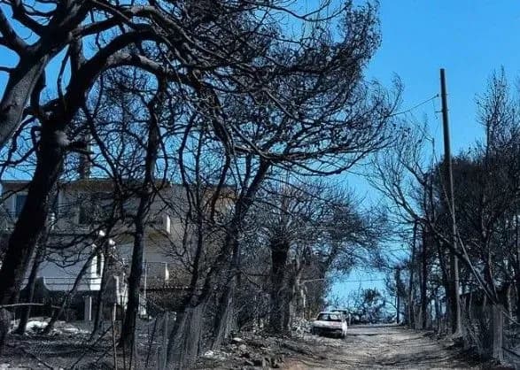 Липнева лісова пожежа в Греції забрала життя 95 людей