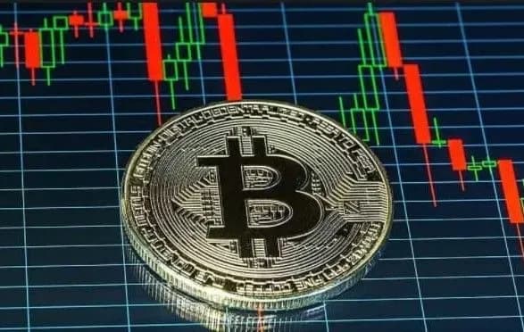 Мужчина создал программу для похищения средств участников криптовалютных бирж