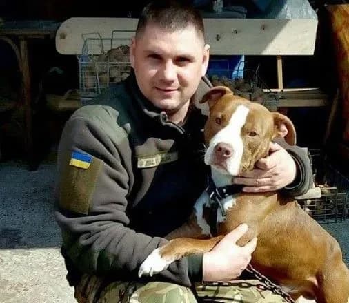 Їхав на весілля: у ДТП на Житомирщині загинув військовослужбовець