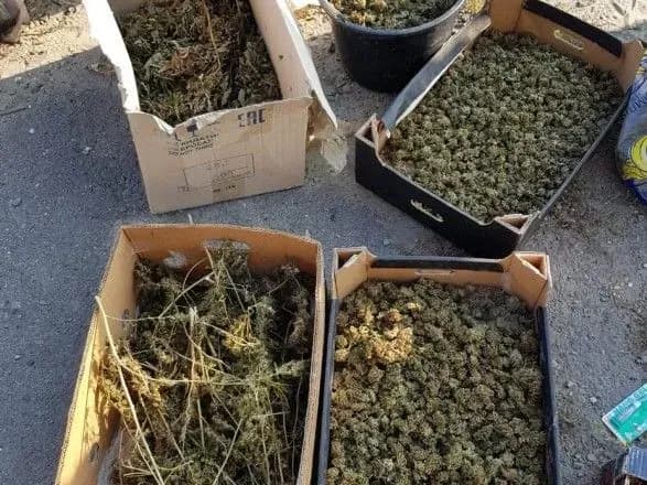 На Закарпатті знайшли сховок наркотиків на близько 39 мільйонів гривень