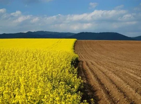 Президент підписав закон щодо запобігання рейдерству земель