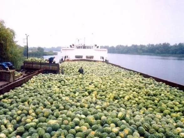 Завтра з Херсонщини до Києва відправиться баржа з кавунами