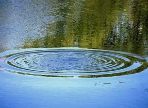 У місті Дніпро під час купання на водоймі потонула жінка