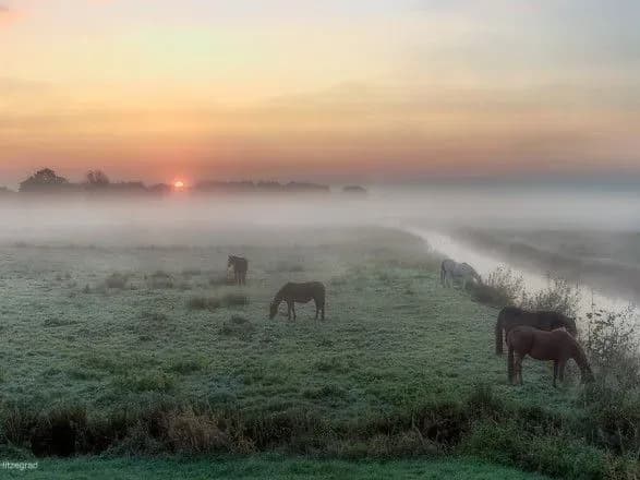 В Україні вночі значно похолоднішає
