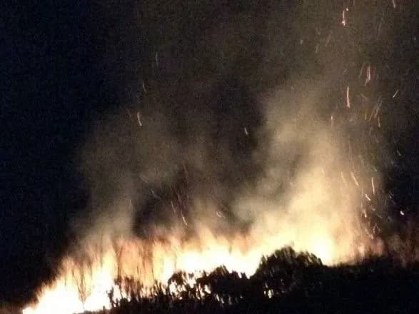 Французький винороб заявив, що в Одесі підпалили його виноградники