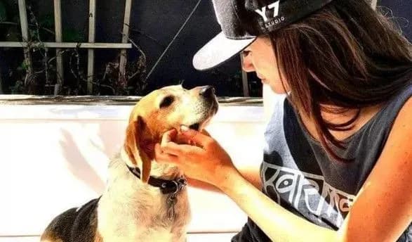 Принц Гаррі та Меган Маркл завели собаку