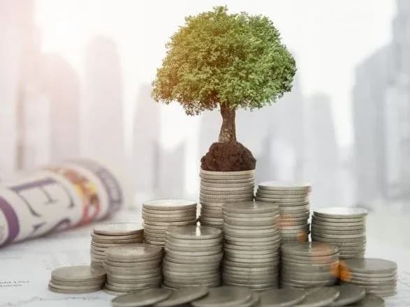 За півроку найбільше прямих інвестицій до України надійшло з Росії