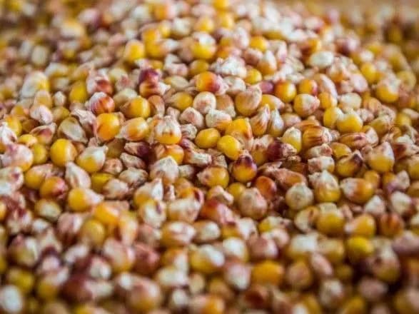 Жнива-2018: зернові та зернобобові культури зібрані з 10 млн га