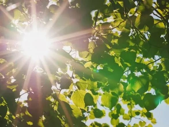 В первый день осени в Украине будет сухо и жарко