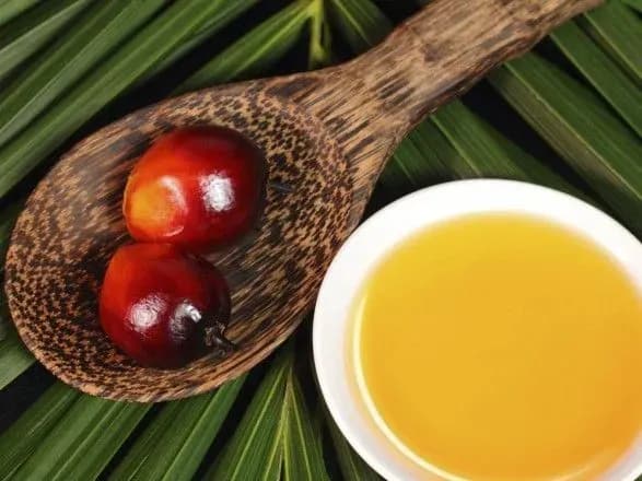 Україна закуповує максимальні партії пальмової олії за 5 років