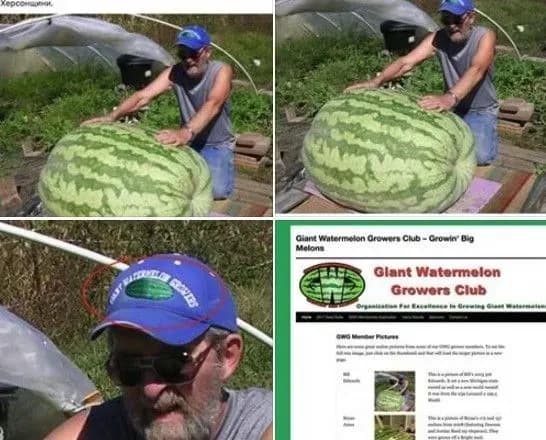 Заплутались у кавунах: МЗС проілюструвало новину про родючу Херсонщину фотографією із США