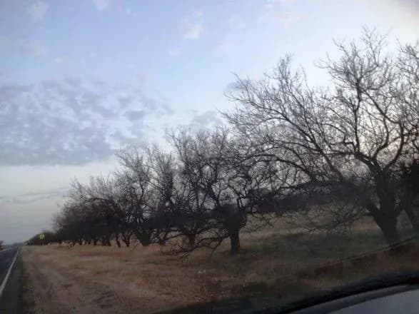 Хімвикиди у Криму: стало відомо про рівень забруднення на Херсонщині