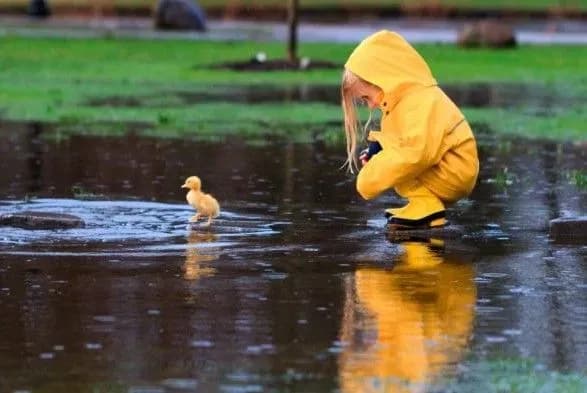 Жителів Київщини попередили про грози та шквали