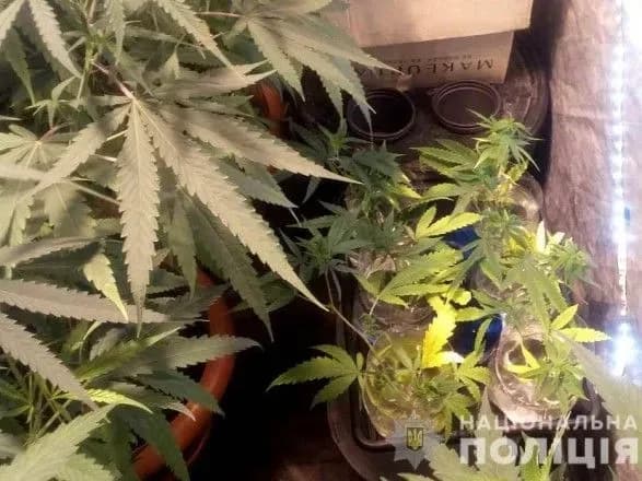 В Одесі затримали наркодилера з Дніпропетровщини