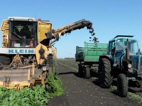 Аграрії розпочали збір цукрових буряків