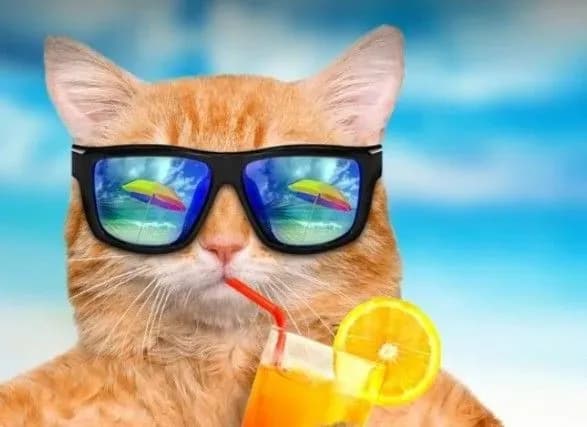 Серпень побив світовий температурний рекорд