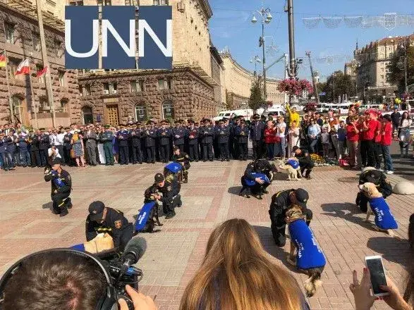 У Києві нагородили найкращих собак-рятувальників