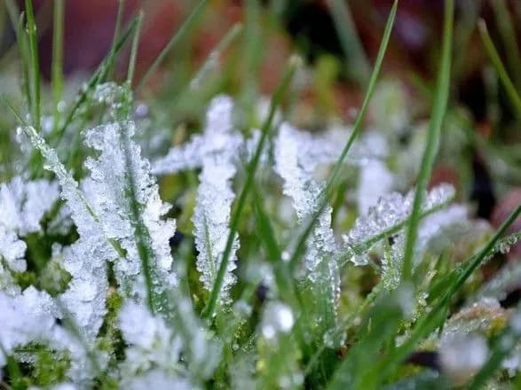 Синоптик попередила українців про дощі та заморозки