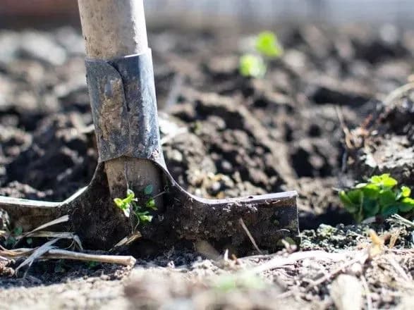 Зареєструвати земельну ділянку в Україні стало простіше