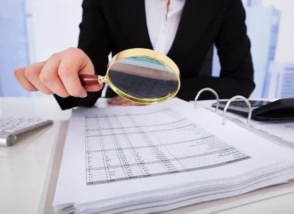 Контролери прийшли до сімейної компанії радикала Рибалки із перевіркою